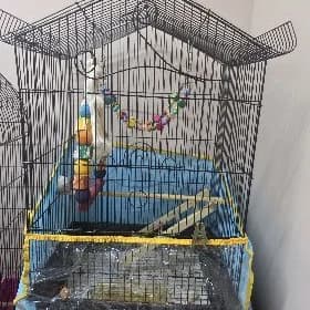 клетка для папугая