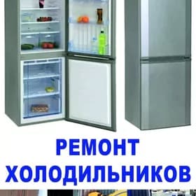 холодиник remont holodinik