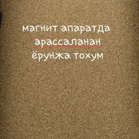 Ýorunja tohum Ёрунжа тохум