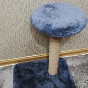 Для кошек