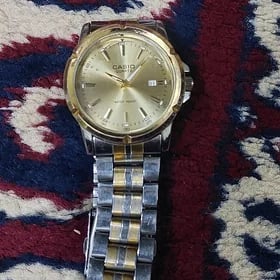 Sagat Casio
