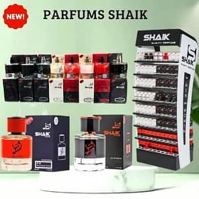Shaik arginal togolok çuyşe