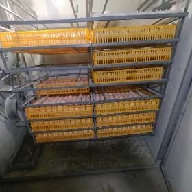 inkubator juje