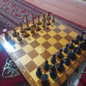 Шахматы СССР