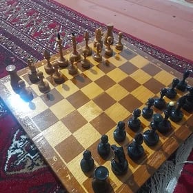 Шахматы СССР