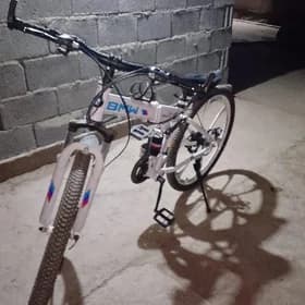 BMW welosiped