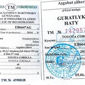 tapylan teh pasport