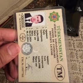 prawa yitdi