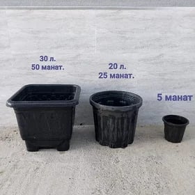 горшок