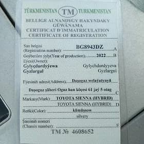 tehpasport sienna