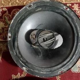 kalonka garpyz
