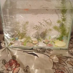Akvarium