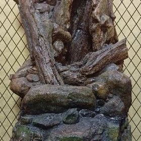 wodopat