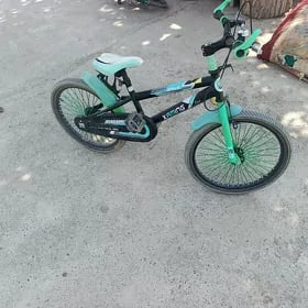 tigir