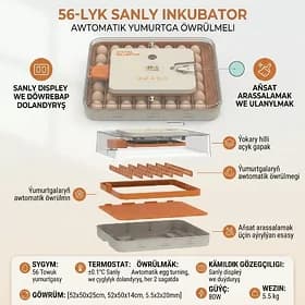 incubator инкубатор inkubator