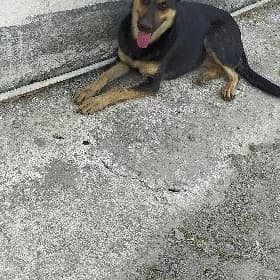 awçarka