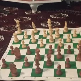 шахматы