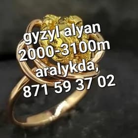 gyzyl alyan gymmat bahadan