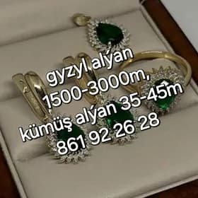 gyzyl alyan