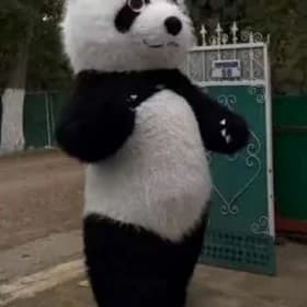 mishka panda animator мишка