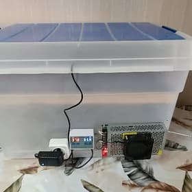 инкубатор inkubator