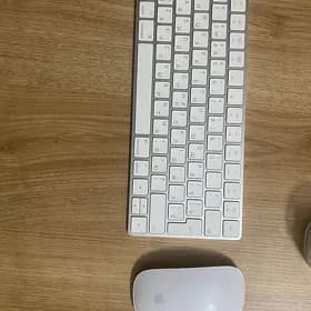 apple klawiatura we myshka