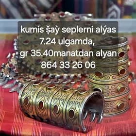 kumuş alyan gadymy