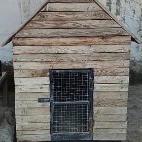 It ýatak