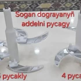 sogan dogralyan pycagy