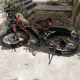 TOKLY TIGIR YOGYN TEKER