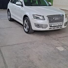 Audi Q5 2010