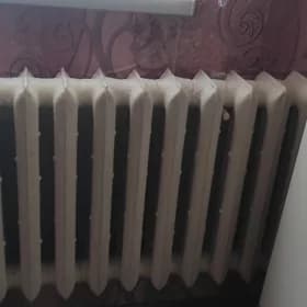 çoýun atapleniya