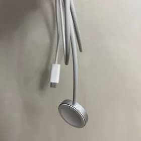 APPLE USB