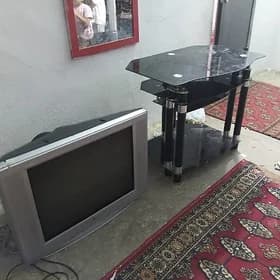 Televizor