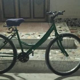 turkmenistan tigir