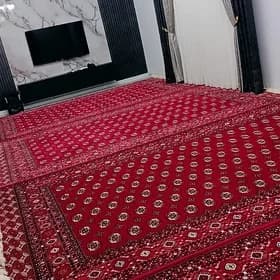 SKITKADA EYRAN TURK HALY