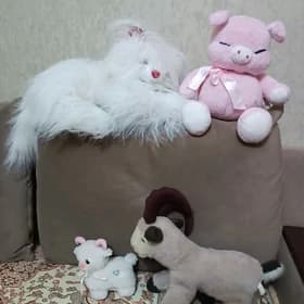 мягкие игрушки
