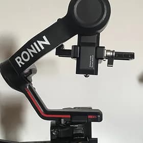 ronin