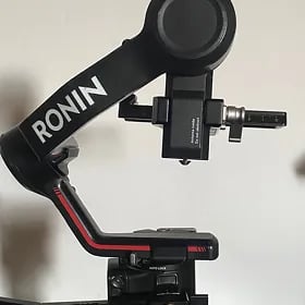 ronin