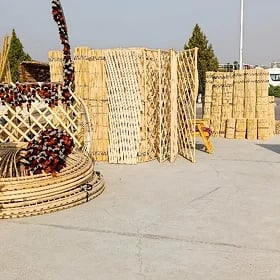 Гамыш Gamyş AK öý garöy Tüýnük