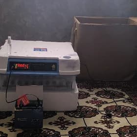 Inkebator
