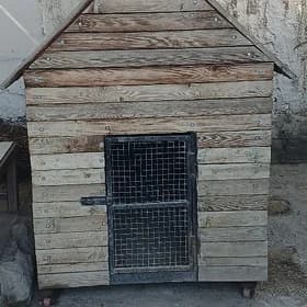 It ýatak