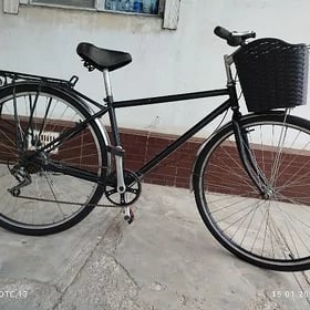 welik 28 lik