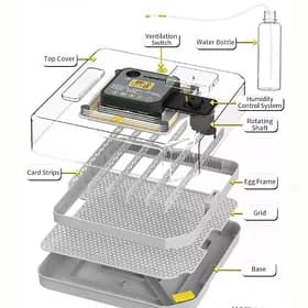 incubator инкубатор