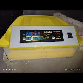 inkubator