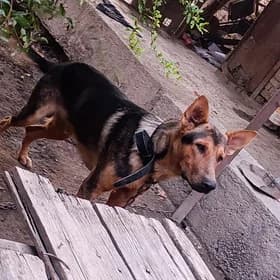 Afçarka