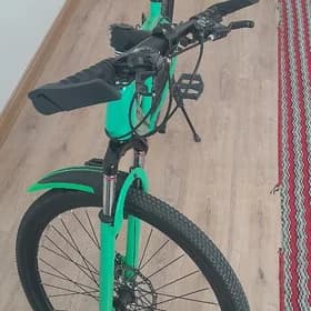 Turkmenistantigir