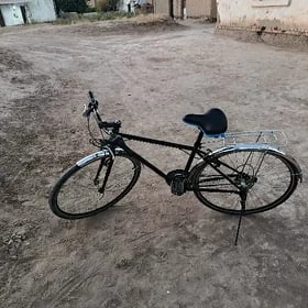 28gonoçnuý I śosseýnyý