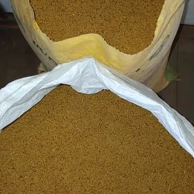 sakarçäge