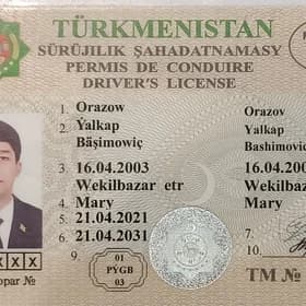 prawa yitdi